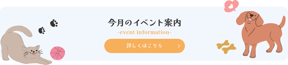 今月のイベント案内