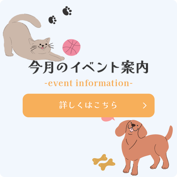 今月のイベント案内